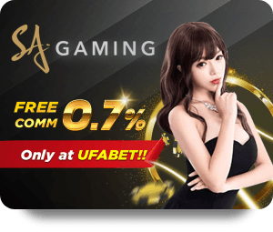 Đánh Giá Chất Lượng Trận Đá Gà Trực Tiếp Trên Dafabet